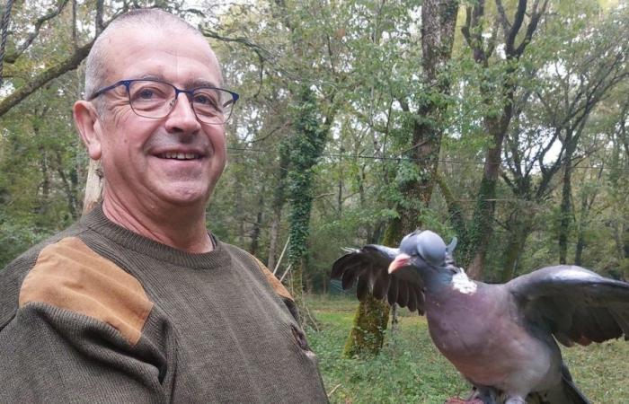 „Fass meine Palombière nicht an“: Neue Mobilisierung von Jägern in der Gironde zur Verteidigung traditioneller Jagden