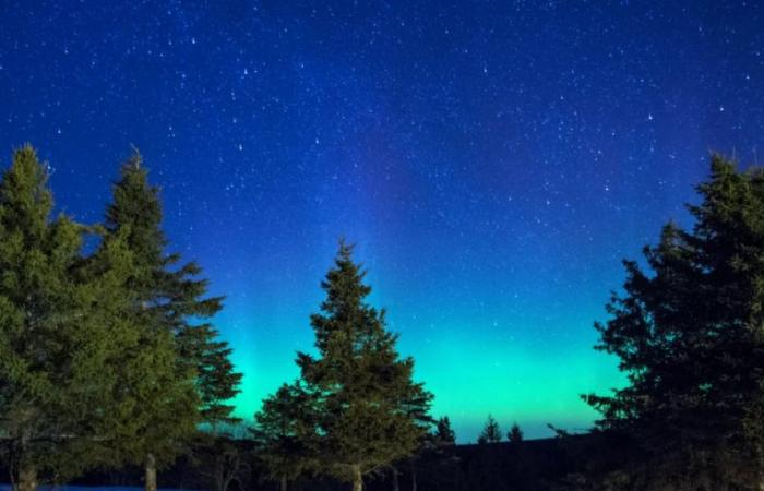 Die Nordlichter könnten Ihnen diese Woche in Quebec ein unglaubliches Schauspiel bieten