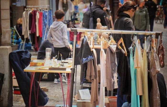 Dieser Verkauf gilt als der größte in Ille-et-Vilaine und findet diesen Sonntag in der Nähe von Rennes statt