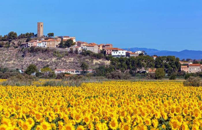 Die große Gewinnkampagne bei der Einwohnerzahl, + 60 % für Lozère, der Post-Covid-Trend mehr als bestätigt