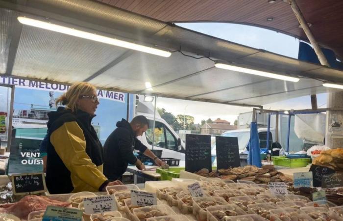 Was kosten die ersten Jakobsmuscheln in Ouistreham?