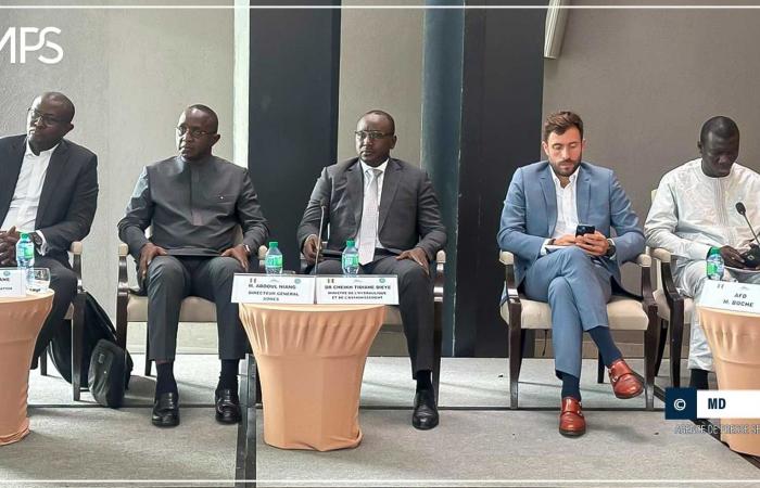 SENEGAL-HYDRAULIQUE-DISTRIBUTION / Gleicher Zugang zu Wasser, „eine große Herausforderung“, die es zu bewältigen gilt (Minister) – Senegalesische Presseagentur