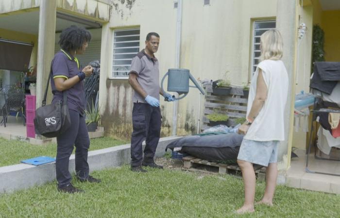 Guadeloupe erlebt einen Anstieg der Dengue-Fälle