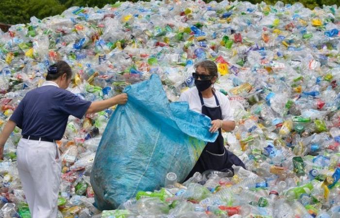 Wie die Plastikverschmutzung bis 2040 beseitigt werden kann, so die OECD