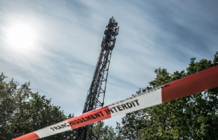 Sie stahlen 1,5 Tonnen Kupfer aus Mobilfunkmasten und wurden von … ihren Telefonen verraten