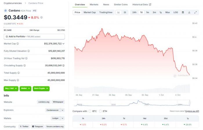 Kann Cardano seinen Rückgang um 11 % überwinden?