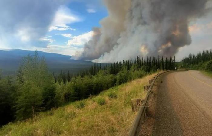 Der lange Weg der Kulturbrände im Yukon – Blick in die Arktis