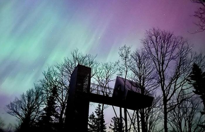 Nachrichten | In den kommenden Tagen könnten Sie in Quebec das Nordlicht sehen