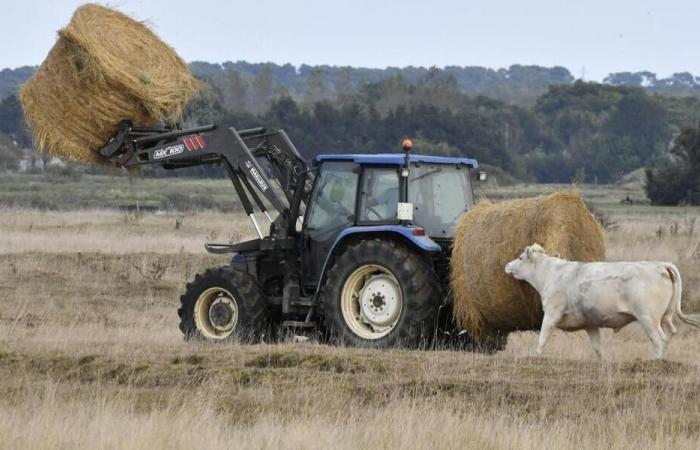 Landwirtschaft: Der Bauernbund 44 auf dem Land ruft zu Spenden auf