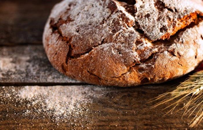 Schlechte Weizenernte: Brot wird in der Schweiz teurer