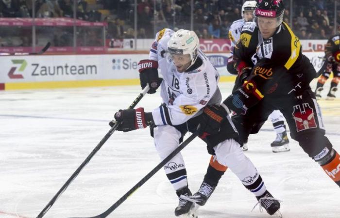 SCB Fribourg Gotteron: Bern besiegt Freiburg 6:3