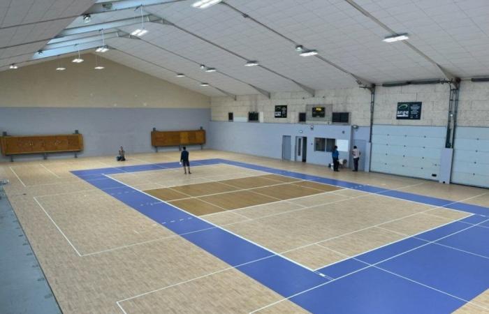 Dieser Volleyballverein aus der Metropolregion Caen hat das Feld für die Olympischen Spiele in Paris zurückerobert