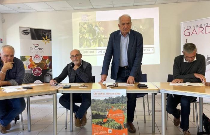 GARD Vignes Réboussières erweckt die Region zum Leben