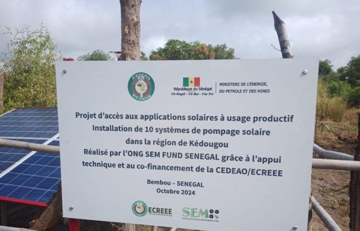 Senegal: Solarpumpen zur Förderung der Landwirtschaft | APAnews