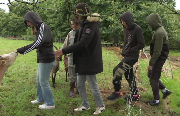 Ein intensiver Tag zur Entdeckung landwirtschaftlicher Berufe