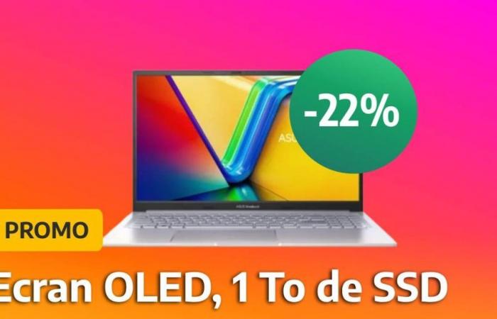 Dieser französische Händler senkt den Preis für diesen Asus Vivobook-Laptop, obwohl er über einen großartigen OLED-Bildschirm verfügt!