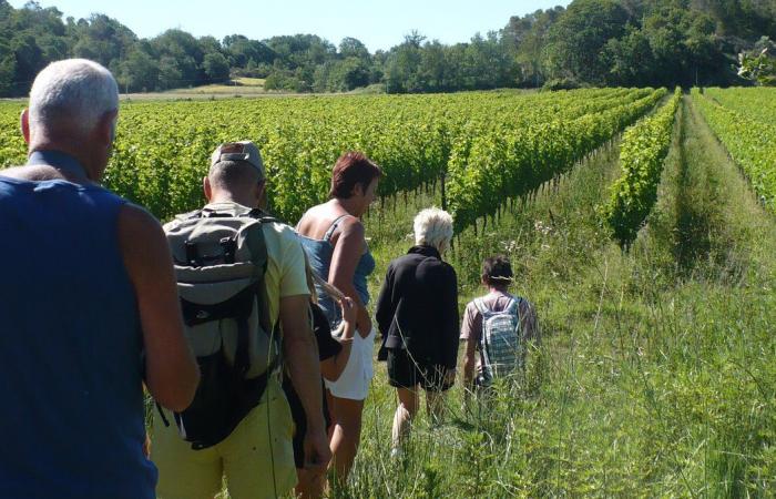 GARD Vignes Réboussières erweckt die Region zum Leben