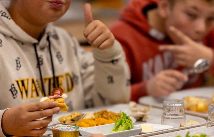 Rote Bete Royal und Geflügel Supreme, ein Luxus-Mittagessen für diese College-Studenten aus dem Loiret