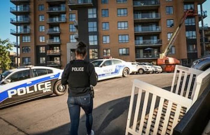 Großeinsatz der Polizei: Harter Schlag für herzlose Betrüger