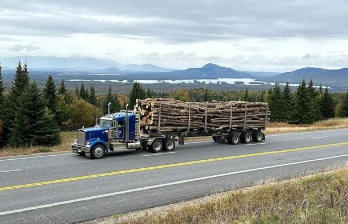 Jackman, Maine: Trumps Hinterland an der Beauce-Grenze | US-Wahlen 2024