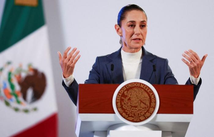 Mexiko | Neuer Präsident kündigt neue Rechte für Frauen an