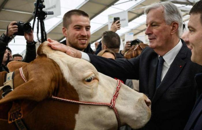 Michel Barnier sagt, er sei „offen“ für andere Lösungen als die Verschiebung der Neubewertung der Altersrenten