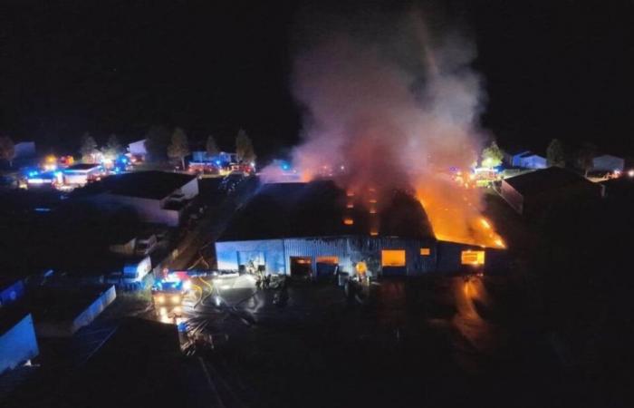 FOTOS. In einer Lagerhalle bricht ein heftiger Brand aus, zahlreiche Feuerwehrleute sind im Einsatz, um die Flammen zu bekämpfen