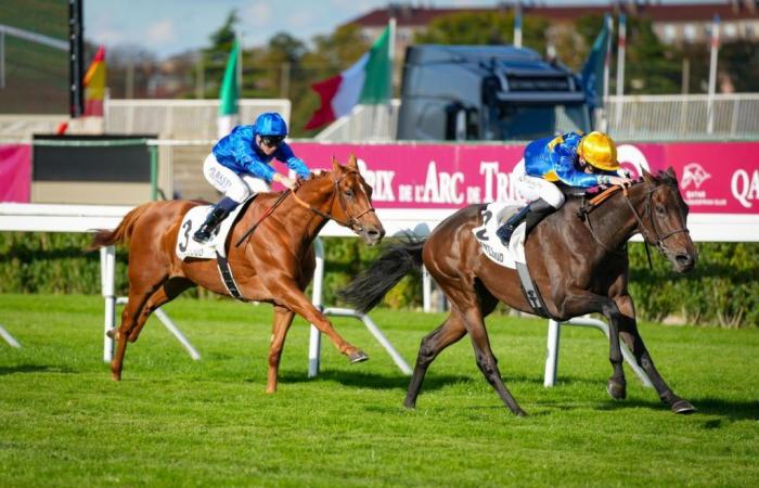 Freitag, 4. Oktober 2024 in Saint-Cloud – Prix Scaramouche (l.): Shakti hat es verdient