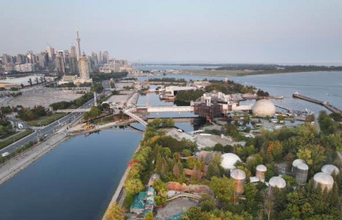 Die Abholzung des Waldes am Ontario Place hat begonnen