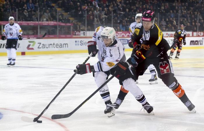 SCB Fribourg Gotteron: Bern besiegt Freiburg 6:3