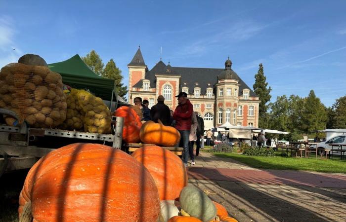 Am ersten Oktoberwochenende fahren wir nach Moselle-Est