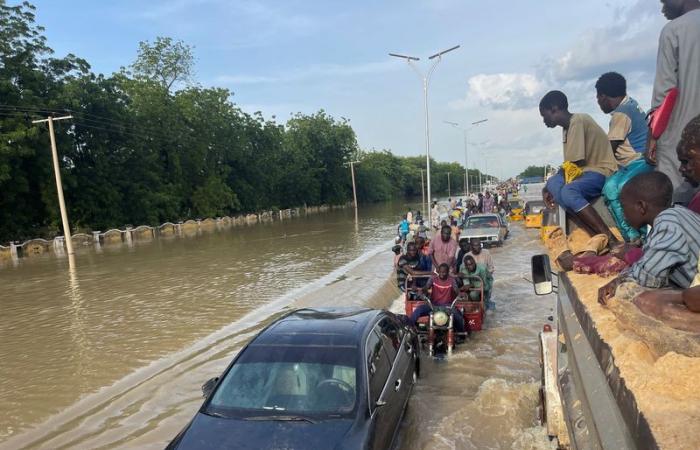 Der Bundesstaat Borno in Nigeria wurde nach Überschwemmungen von Cholera heimgesucht