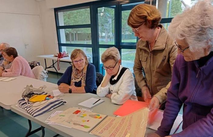 Diese Kinderbuchmesse in Ille-et-Vilaine bevorzugt immer unabhängige Verlage