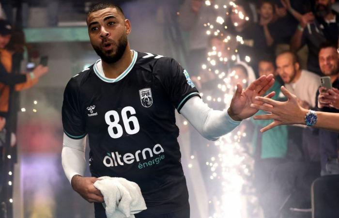 Die Rückkehr von Earvin Ngapeth nach Poitiers, eine „Welle“, die dem französischen Volleyball Auftrieb gibt