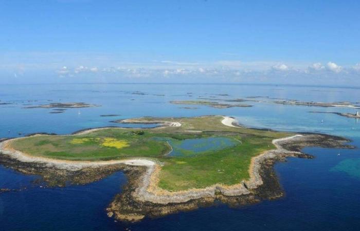 Die auf See im Finistère geplante Anti-Bolloré-Demonstration wird an Land bleiben