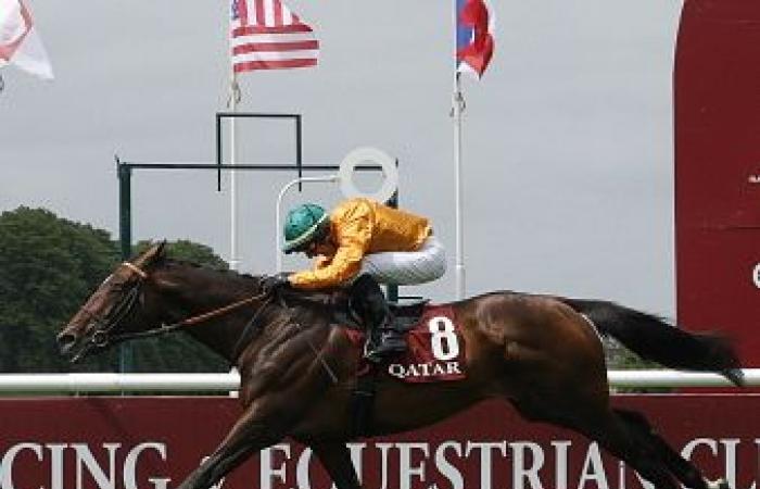 Qatar Prix de l’Arc de Triomphe: Look de Vega kann sein Ziel erreichen – Flat