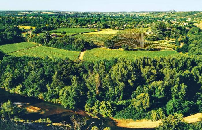 GARD Vignes Réboussières erweckt die Region zum Leben