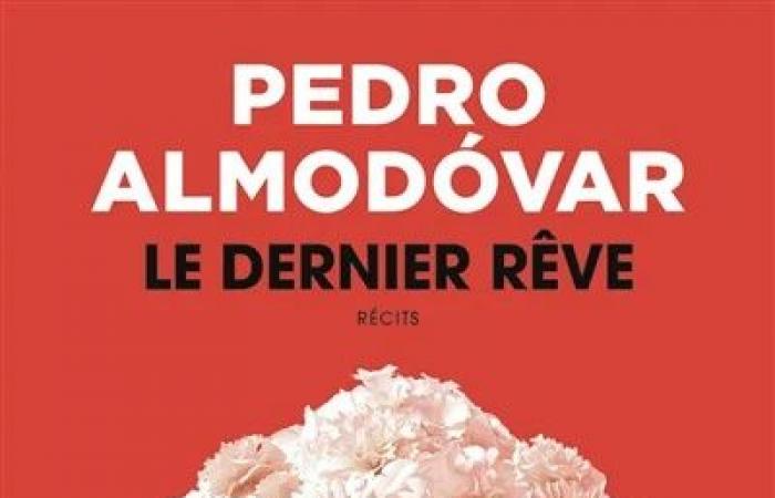 Der letzte Traum, von Pedro Almodóvar | Die Demut eines Riesen