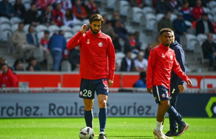 Lille holt zwei Mittelfeldspieler zurück, bevor es gegen Toulouse antritt – Ligue 1 – J7 – Lille-Toulouse