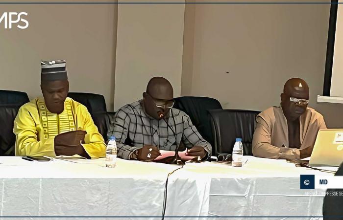 SENEGAL-BUSINESS-TRAINING / Sambou Biagui erinnert an die wesentliche Natur der ganzheitlichen Vision der Unternehmensführung – senegalesische Presseagentur