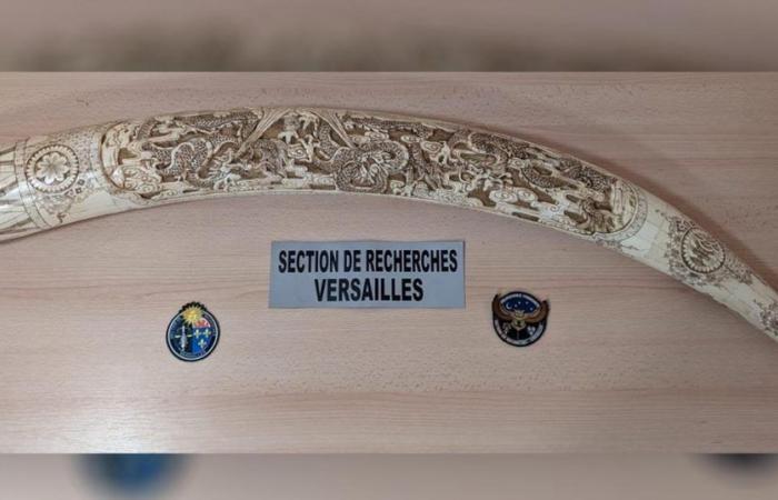 ein Netzwerk von Gaunern wurde in Yvelines zerschlagen