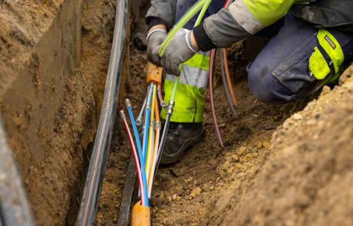 Camtel prangert die Sabotage seines Glasfasernetzes an