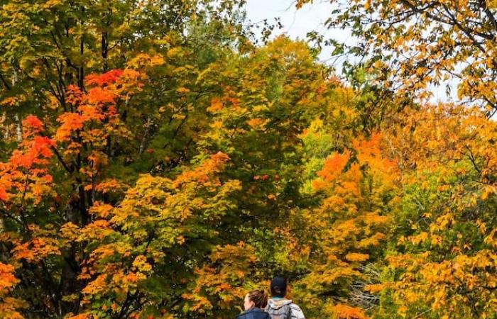 Eine weitere erfolgreiche Ausgabe der Tausend-Farben-Wanderung