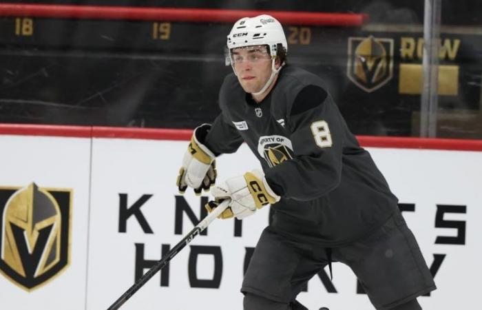 NHL: Mathieu Cataford hat in seinem ersten Camp bei den Golden Knights viel gelernt