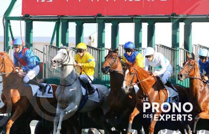 Expertenprognosen für das erste Treffen in ParisLongchamp an diesem Sonntag, dem 6. Oktober