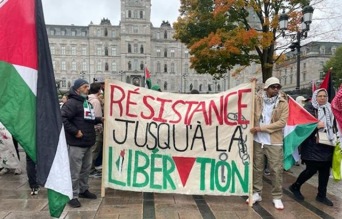 Demonstration für Palästina vor der Nationalversammlung