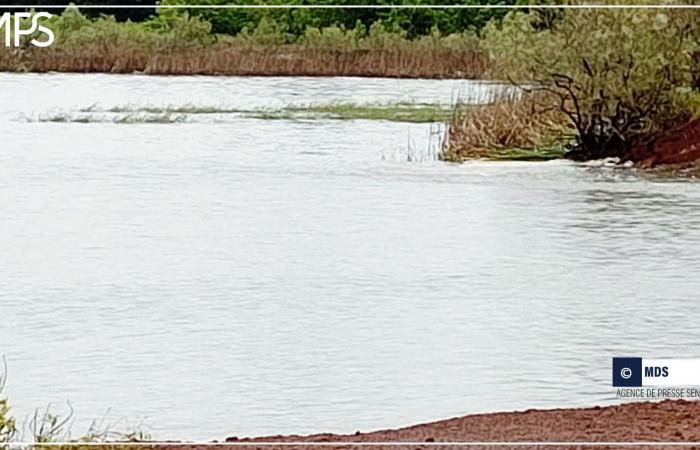 SENEGAL-COLLECTIVITES-INFRASTRUCTURES – / Sédhiou: Cheikh Tidiane Dièye kündigt die Sanierung der Diop-Counda-Brücke an – senegalesische Presseagentur