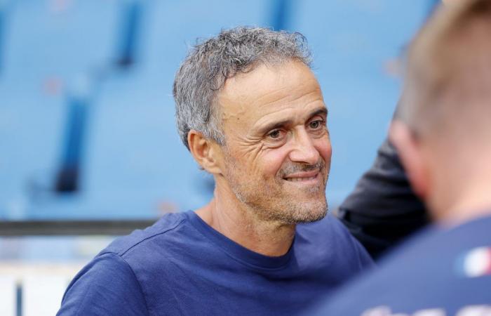 Mercato – PSG: Luis Enrique validiert vier Transfers!