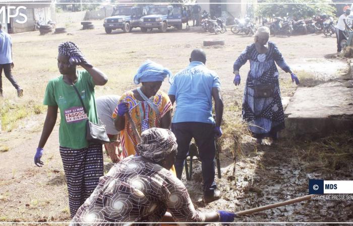 SENEGAL-BILDUNG-UMWELT / „Sétal sunu reew“: Der Gouverneur von Kédougou ist mit der Mobilisierung der Bevölkerung zufrieden – senegalesische Presseagentur