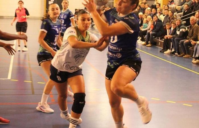 Finistère – Handball. N2F: Taulé gewinnt in völliger Kontrolle gegen Dreux. Sport